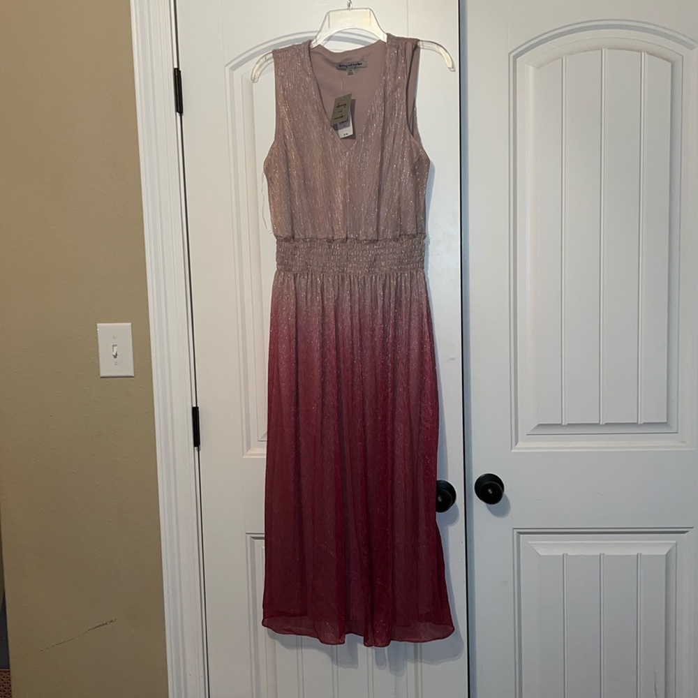NWT Beautiful pink ombré sleeveless dress